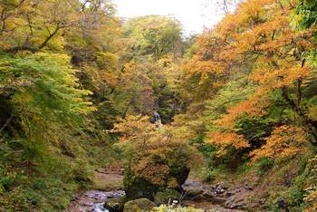 dsc340二口渓谷の紅葉.jpg